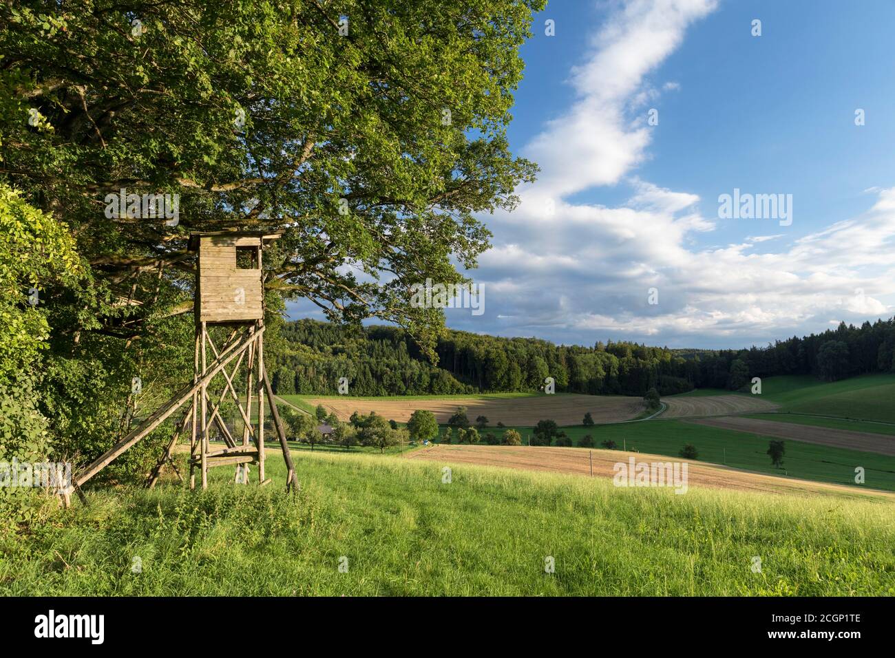 Jägersitz am Waldrand bei Schienen auf der Hoeri-Halbinsel, Bodensee, Baden-Württemberg, Deutschland Stockfoto