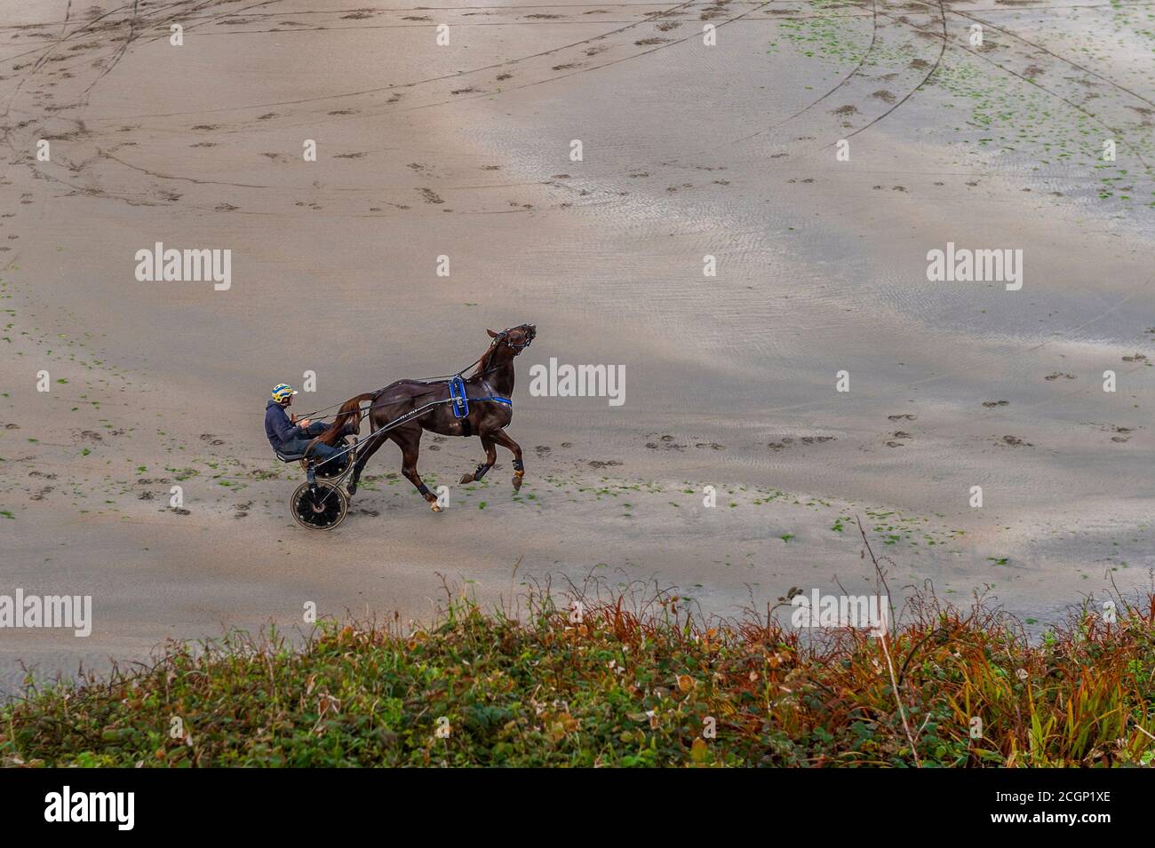 Inchydoney, West Cork, Irland. September 2020. Ein Harness-Rennfahrer legt sein Pferd, zieht ein Sulky, durch seine Schritte auf Inchydoney Beach, West Cork. Der Tag ist trocken mit Sonnenschein an diesem Morgen zu Zauber von Regen an diesem Nachmittag. Obere Temperaturen von 15 bis 18 Grad. Quelle: AG News/Alamy Live News Stockfoto