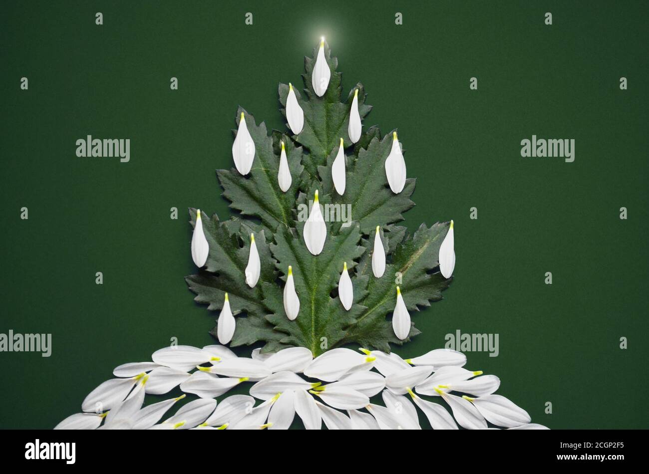 Dunkelgrüne weihnachtskarte mit Baum aus Blättern verziert Mit weißen Blütenblättern und Lichtern Stockfoto