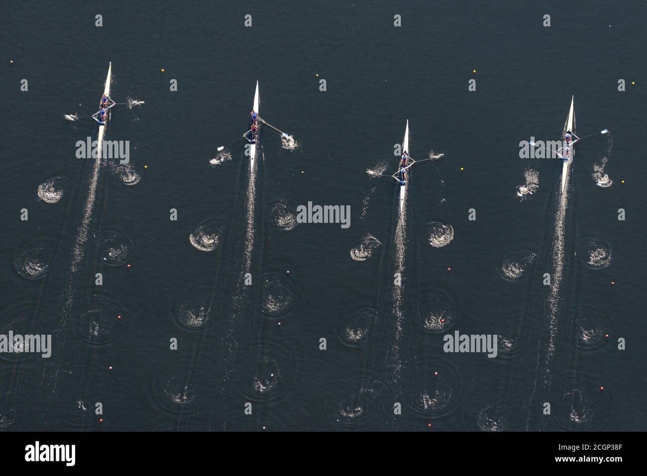 Luftaufnahme, Ruderer, Hamburg, Deutschland Stockfoto