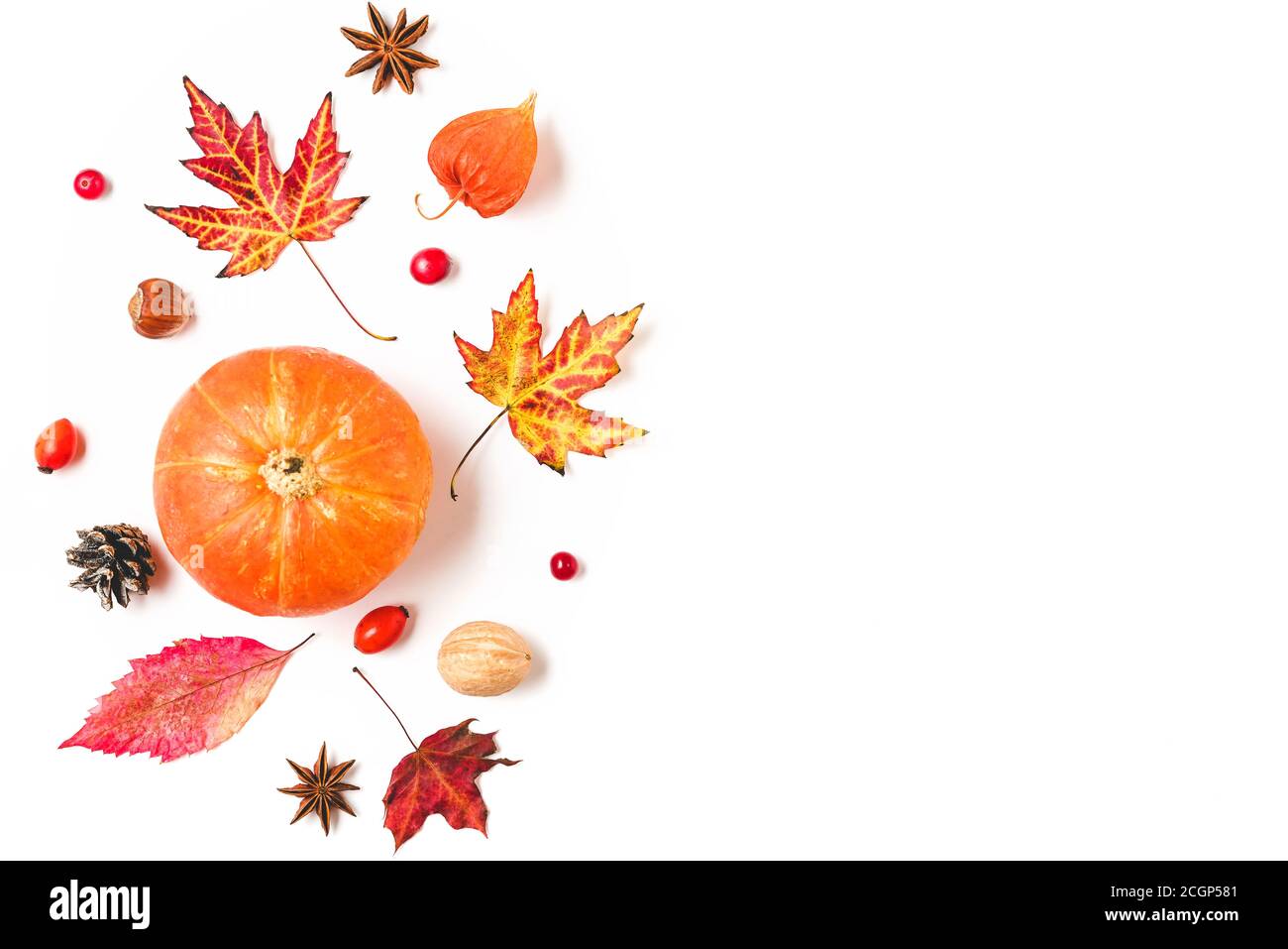 Herbst oder Danksagung Zusammensetzung aus Herbstblättern, Blumen, Kürbis, Beeren isoliert auf weißem Hintergrund. Flach liegend, Draufsicht mit Kopierplatz Stockfoto
