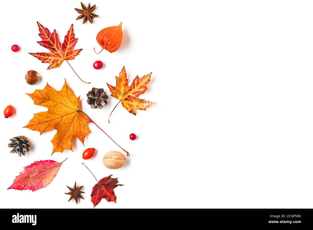 Herbstkomposition aus Herbstblättern, Blüten, Nüssen, Beeren isoliert auf weißem Hintergrund. Flach liegend, Draufsicht mit Kopierplatz Stockfoto