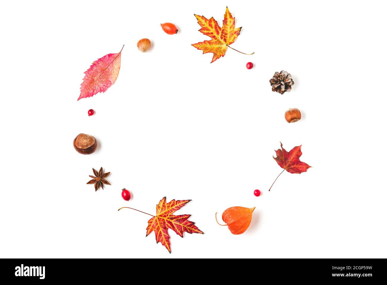 Herbstkomposition. Kranz aus Herbstblättern, Blumen, Nüssen, Beeren auf weißem Grund. Flach liegend, Draufsicht mit Kopierplatz Stockfoto