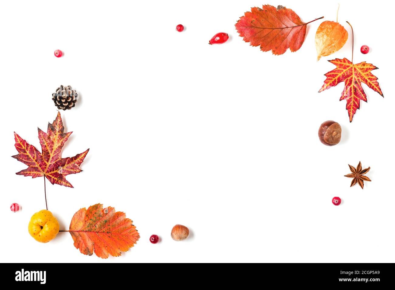 Herbsthintergrund. Getrocknete Blätter, Blumen, Beeren, Nüsse, Zapfen isoliert auf weißem Hintergrund. Herbst, Herbst, Thanksgiving Day Konzept. Flach liegend, top vie Stockfoto