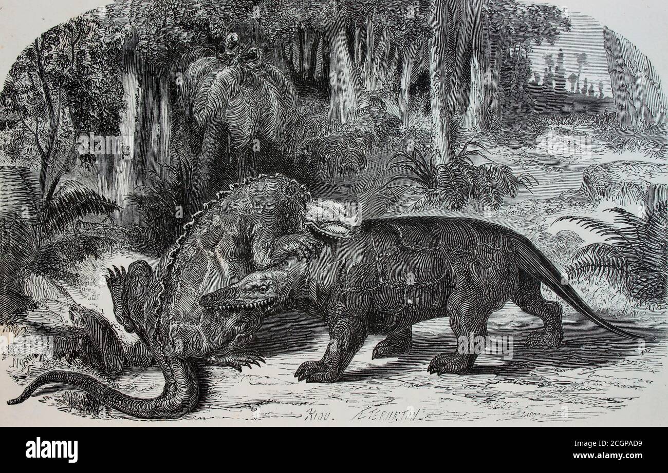Iguanodon gegen Megalosaurus. Holzstich von Eduard Riou Illustration aus Louis Figuiers die Welt vor der Sintflut, 1863 Stockfoto