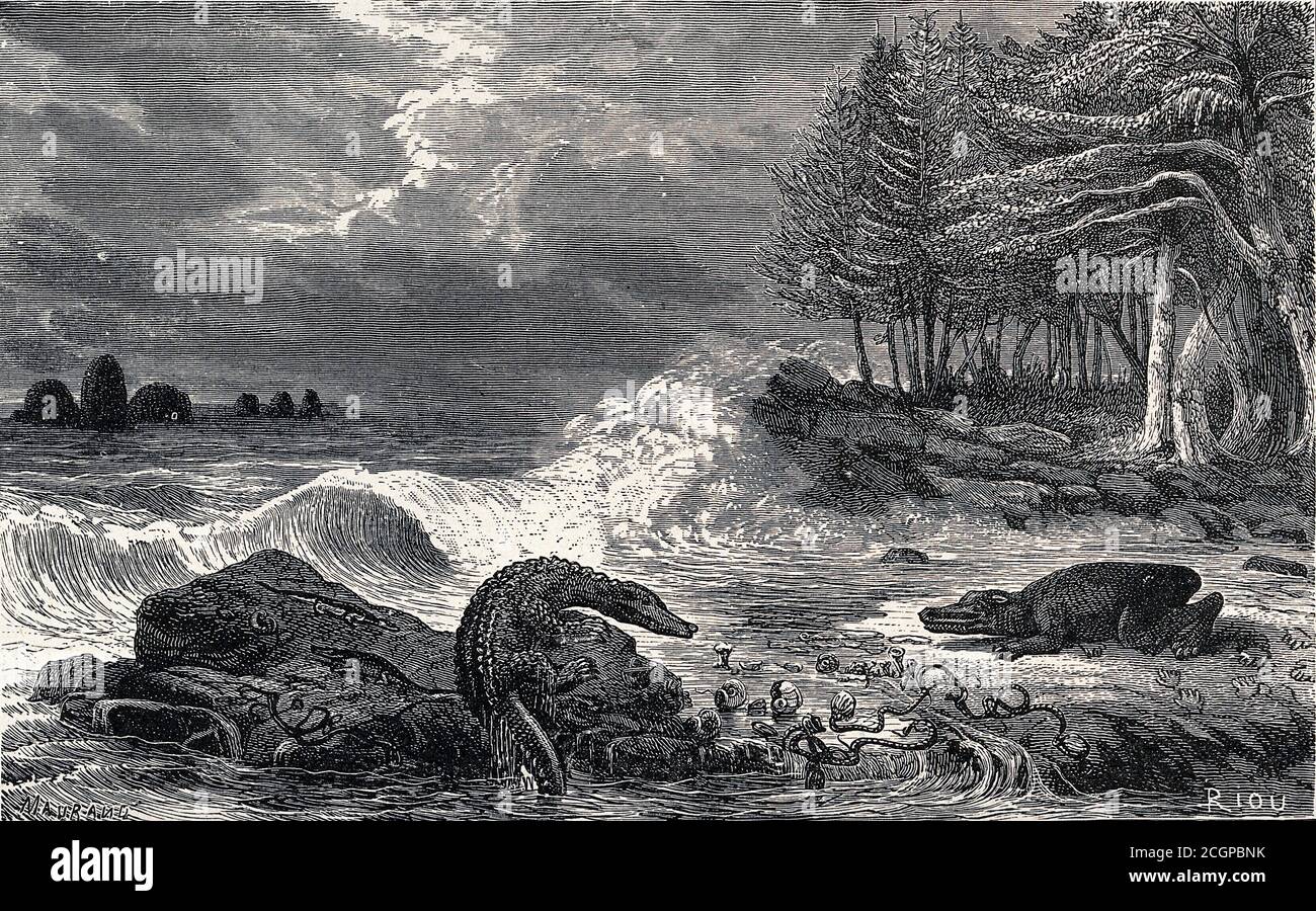 Eine ideale Landschaft der muschelkalk-Subperiode mit Reptilien, die auf Steinen in einem Bach sitzen. Holzstich von Riou nach Marand. Ideale Landschaft aus der mitteltriassischen Zeit, aus Fossilien, die in den deutschen Muschelkalk-Vorkommen gefunden wurden. Illustration aus Louis Figuiers die Welt vor der Sintflut, 1867 Stockfoto