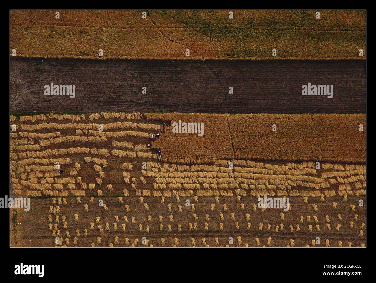 Heißluftballonfahrt in luxor Ägypten Stockfoto
