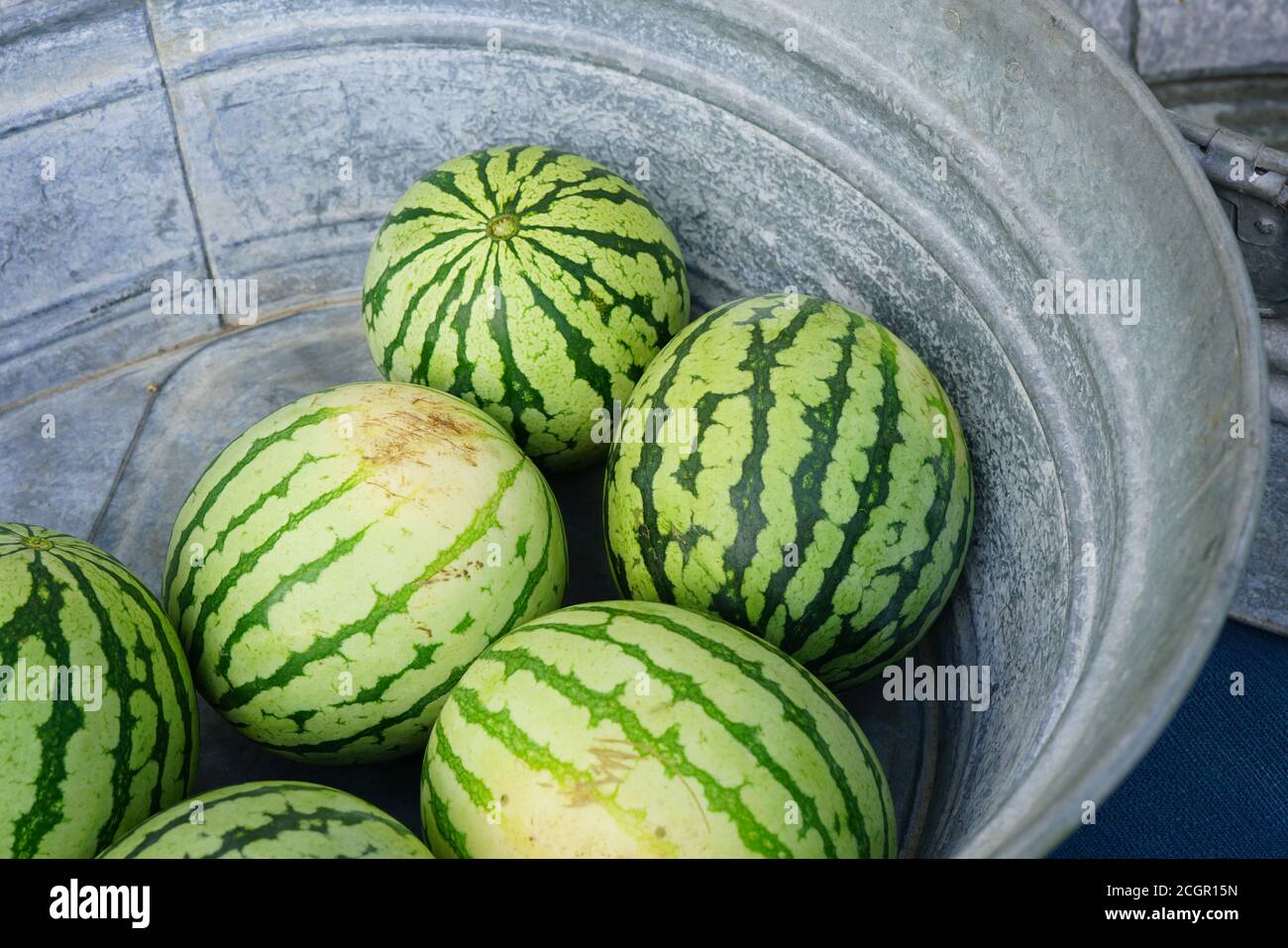 Frische Wassermelonen und andere Sommermelonen zum Verkauf bei A Bauernmarkt Stockfoto