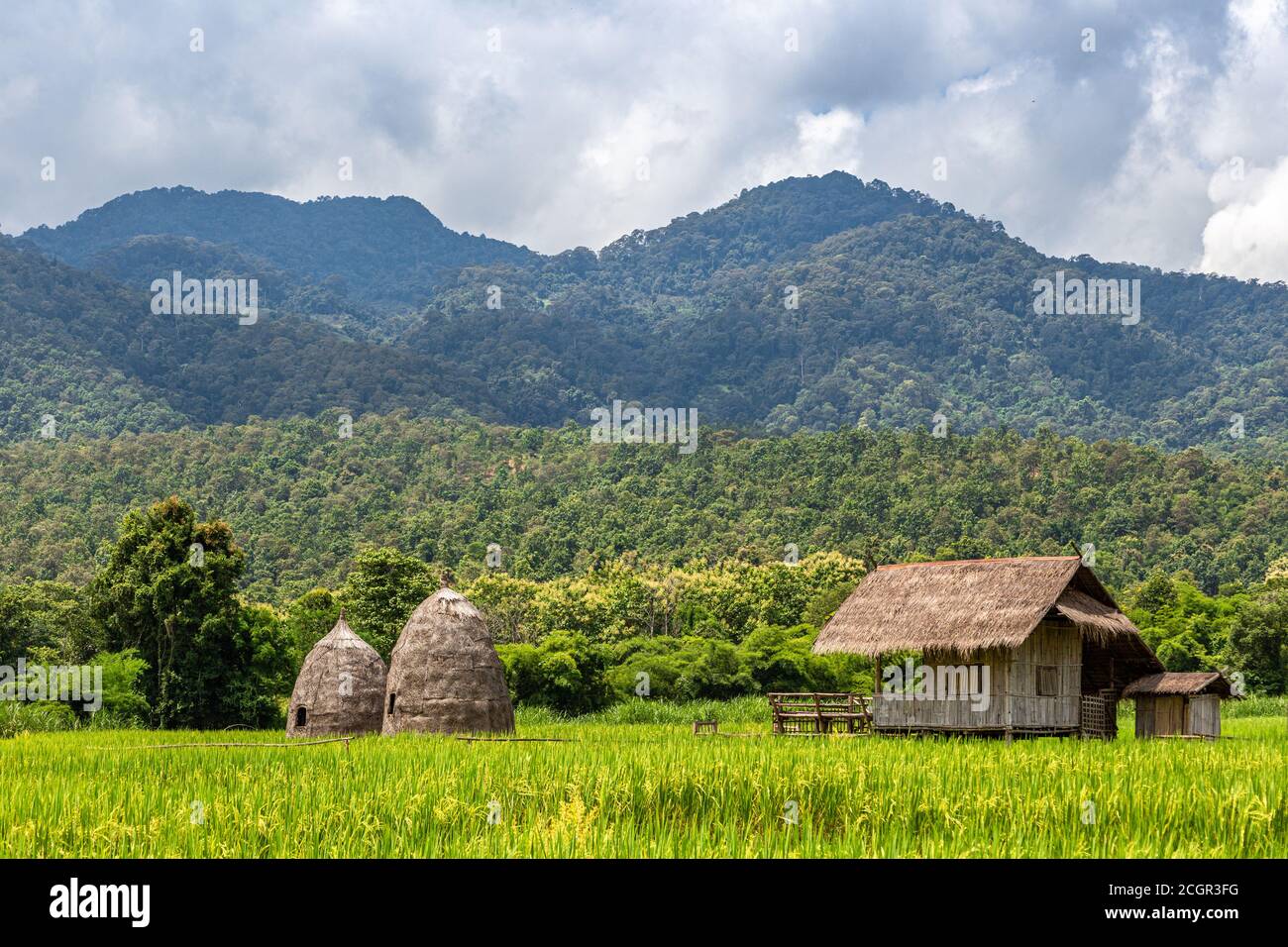 Srtaw Hütte im Reisfeld am Huai Thung Tao See in Chiang Mai, Thailand umgeben von wunderschönen Naturbergen und Wolken Stockfoto