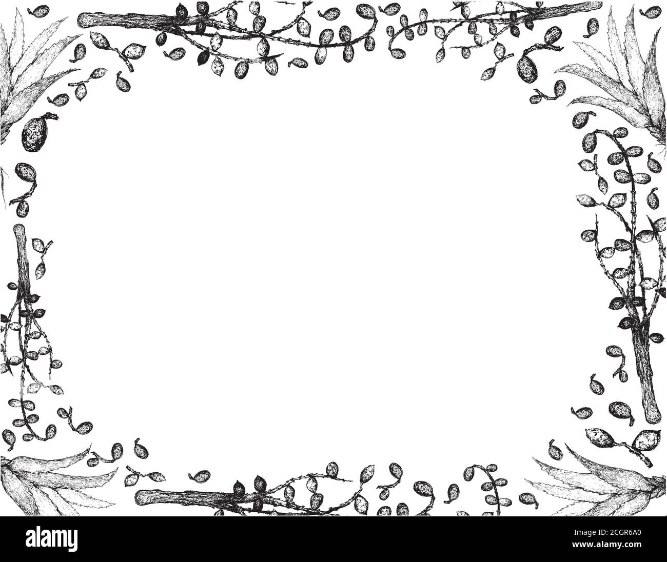 Kräuter und Pflanzen, handgezeichnete Illustration Rahmen von Serenoa Repens oder Säge Palmetto Beeren mit Aloe Vera Pflanzen. Stock Vektor