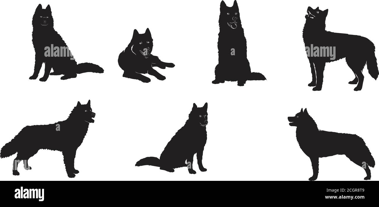 Husky in Bewegung, Husky, Hund, Husky Figur, verschiedene Posen, Illustration, schwarz, Vektor, schwarz, Aussehen, Arten, Zeichnung, dekorativ, Design Stock Vektor