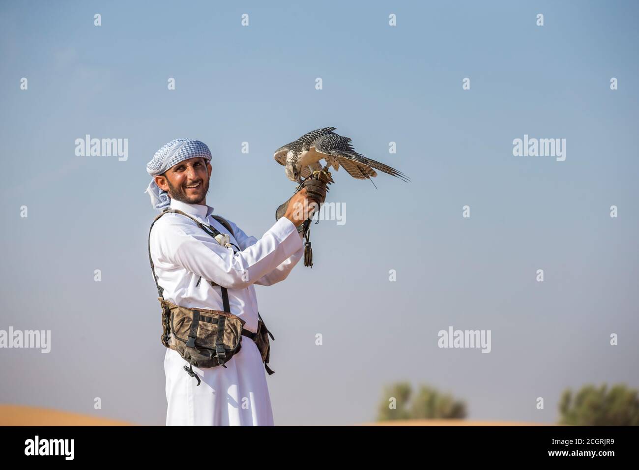 Dubai, Vereinigte Arabische Emirate, 19. November 2016: Ein Falkner in traditioneller Kleidung, Ausbildung ein Wanderfalke (Falco Peregrinus) Stockfoto