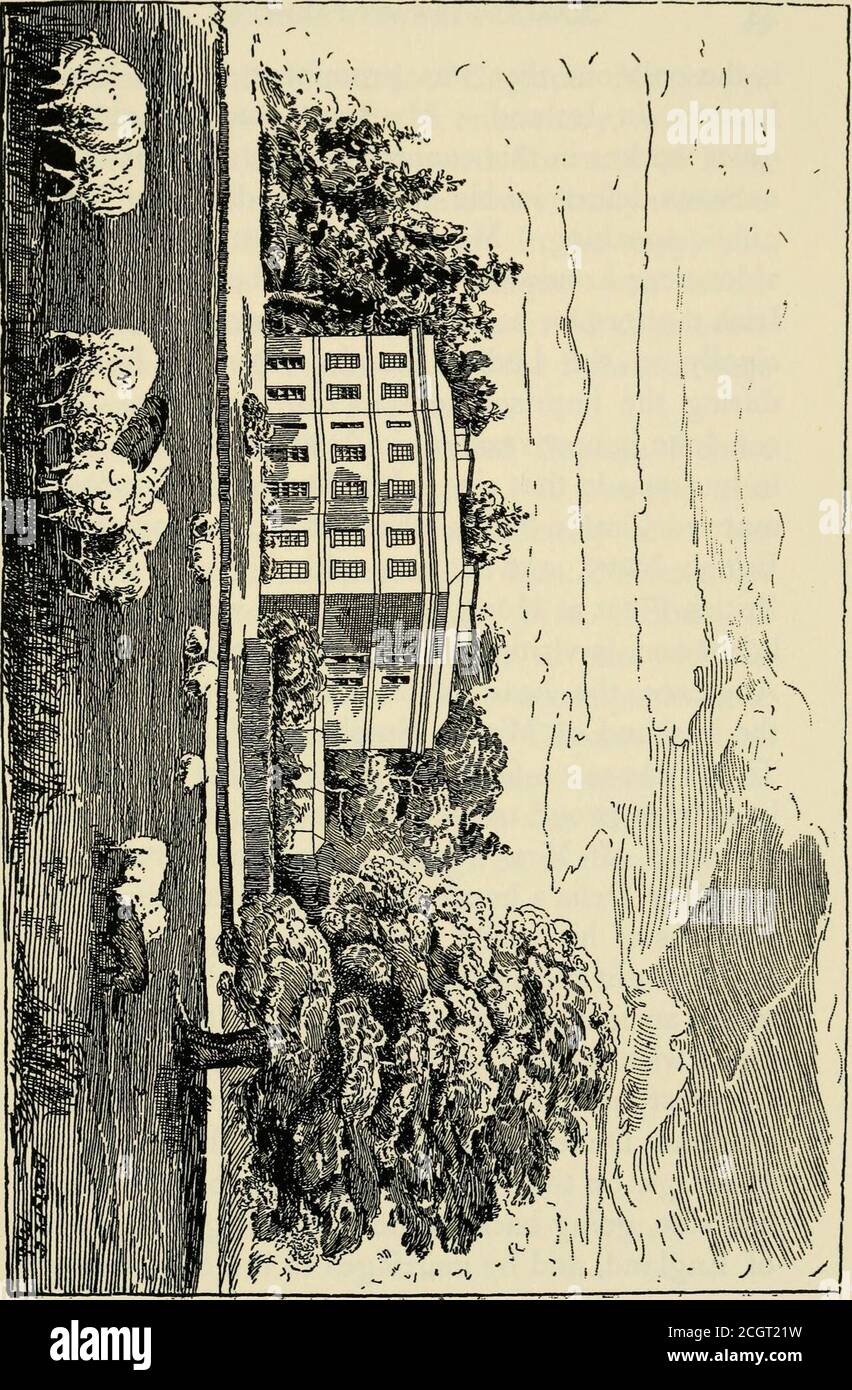 . Der ungekrönte König: Das Leben und die öffentlichen Dienste von Hon. Charles Stewart Parnell; bestehend aus einer grafischen Geschichte seiner Abstammung; auch Familie Erinnerungen, im Zusammenhang mit seiner alten Mutter, Delia Tudor Stewart Parnell ... ; auch eine bilgraphische Skizze seines großen Kollegen, RT. Hon. Wm. E. Gladstone . Wir besuchten unter seinen Freunden, und als ich nach Paris ging für die Bildung und soziale Vorteile meiner Familie.Meine Mutter und mein Bruder hatten ein schönes Zuhause in Paris. Mein Mann war erfreut, uns gothere wegen der großen Vorteile zu haben, die es mir und zu meinen Kindern erlaubte; aber er würde nicht l Stockfoto