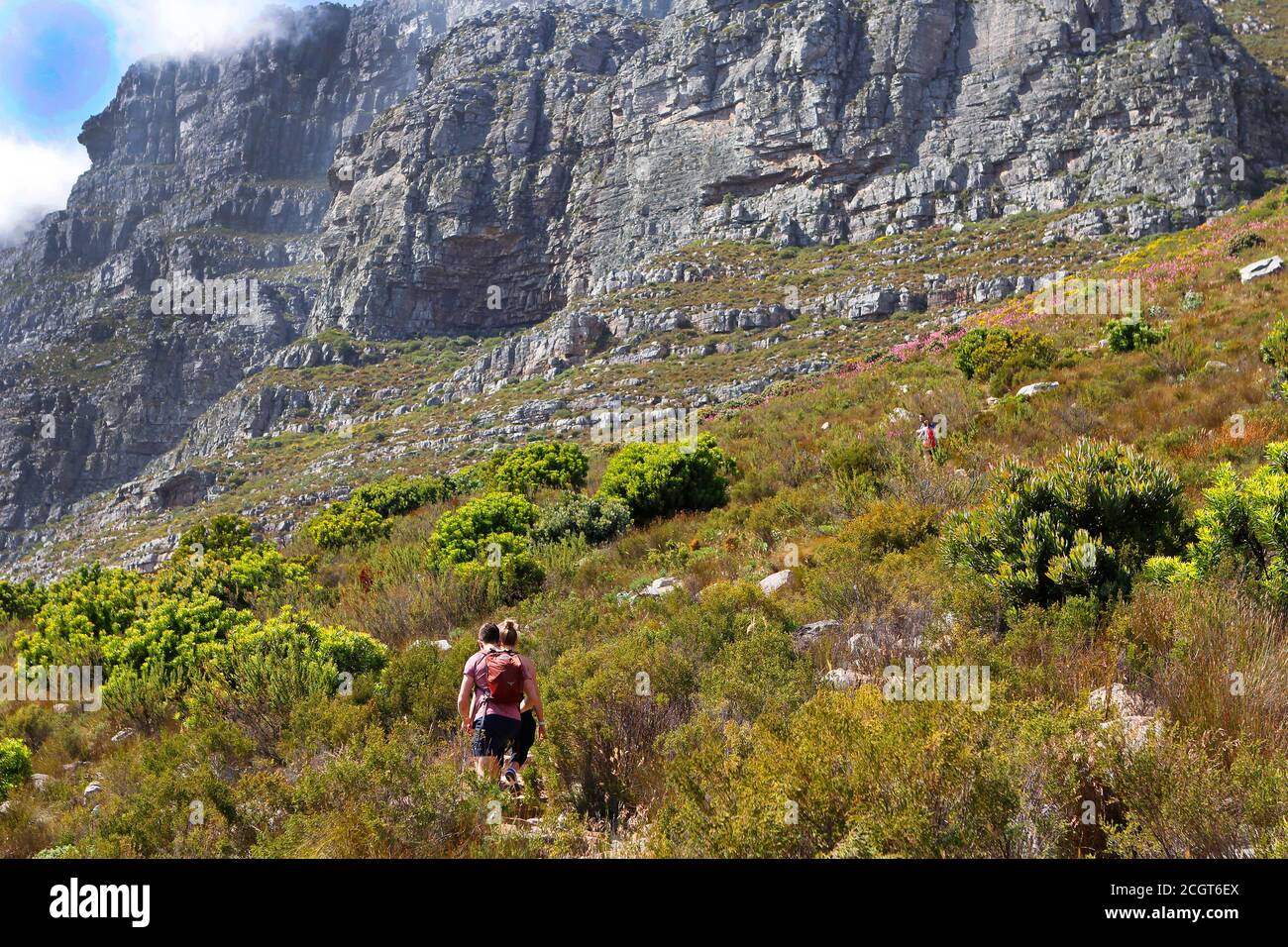 Besucher wandern hinauf zum Countour-Pfad auf dem Tafelberg. Stockfoto