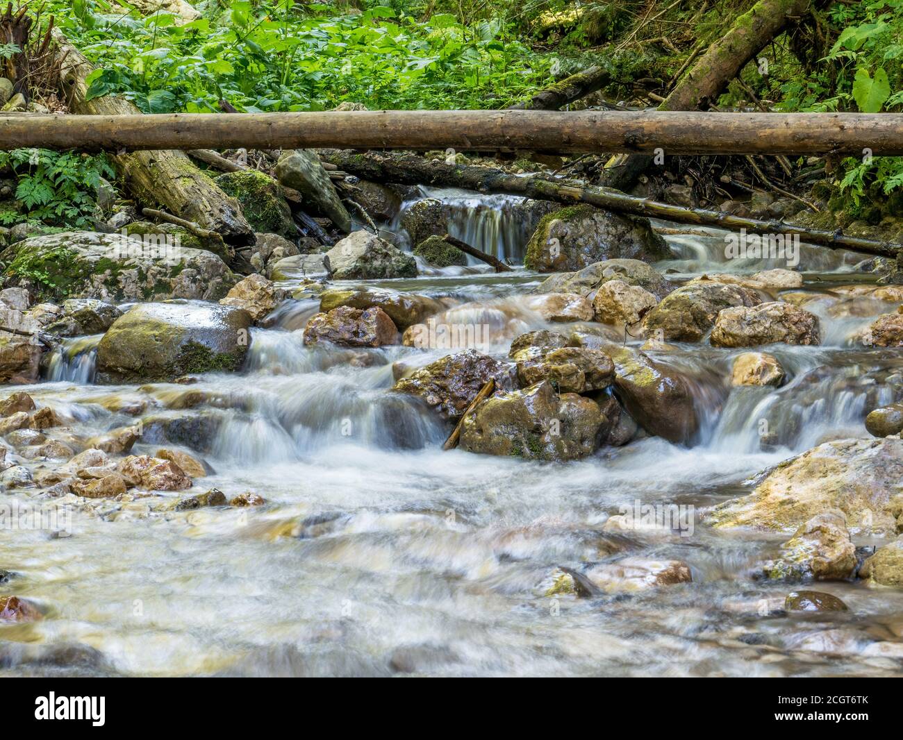 Bild von einem Bergbach oder Bach, der zwischen Felsen in den Karpaten, Rumänien fließt. Sieben Leitern Canyon in Piatra Mare (Big Rock) Berge. Stockfoto
