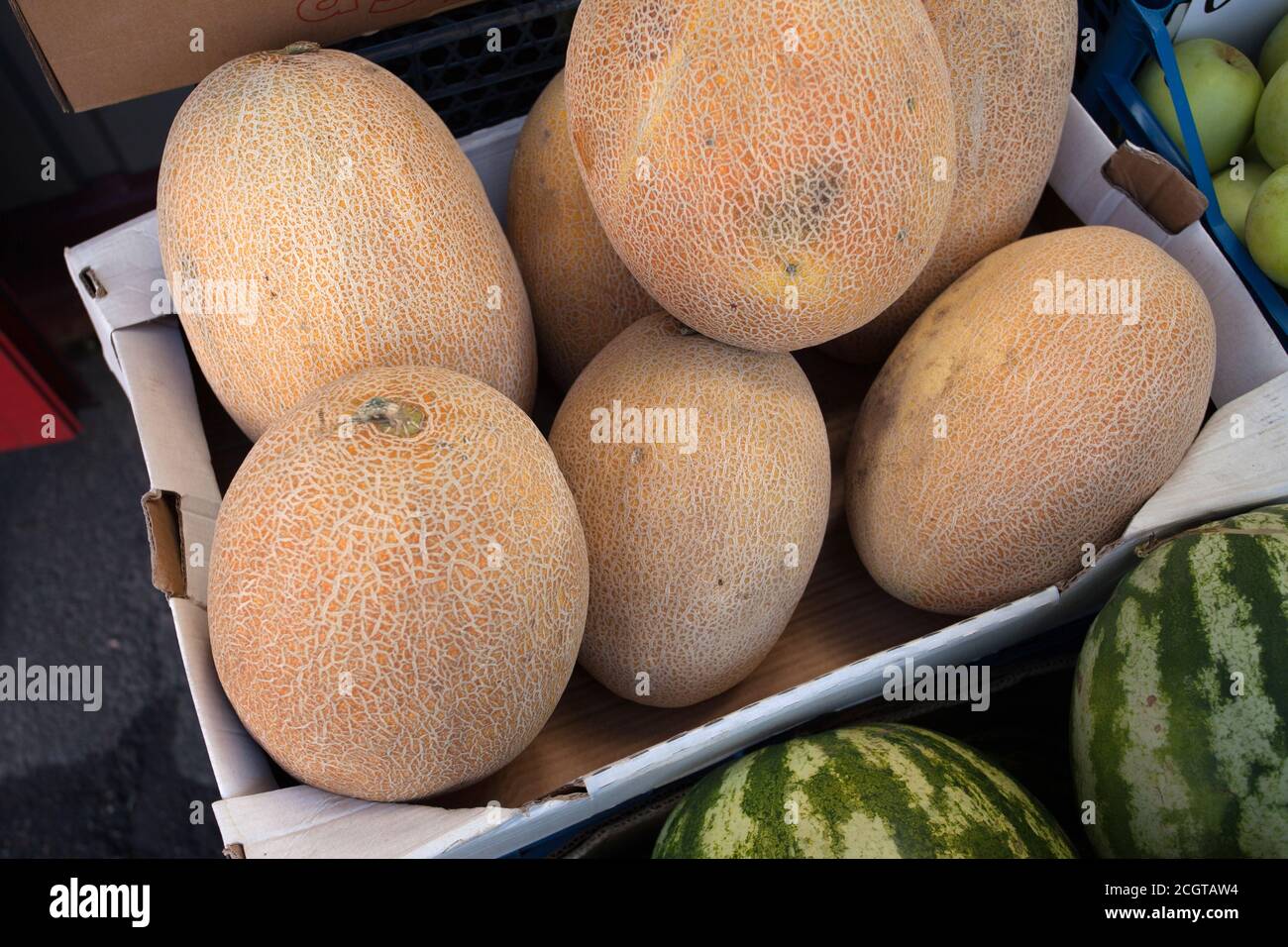 Frische reife Melonen zum Verkauf auf dem Gemüsemarkt unter freiem Himmel. Hochwertige Fotos Stockfoto