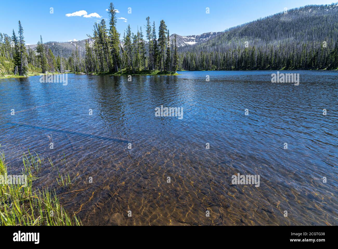 Sylvan Lake, Yellowstone National Park Stockfoto