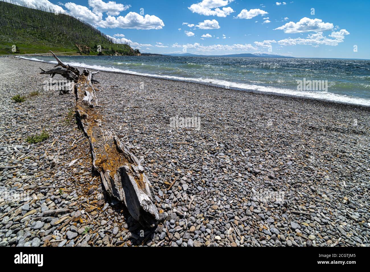 Sedge Bay mit Blick auf Yellowstone Lake, Yellowstone Nationalpark Stockfoto