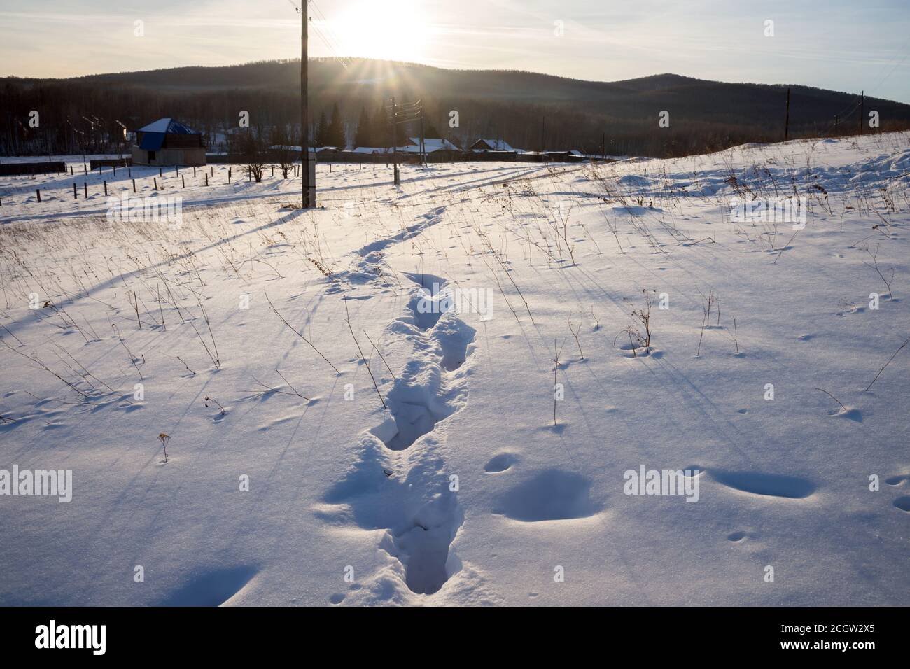 Spuren eines Mannes in einer winterverschneiten Lichtung vor dem Hintergrund von ländlichen Häusern und Wäldern. Stockfoto