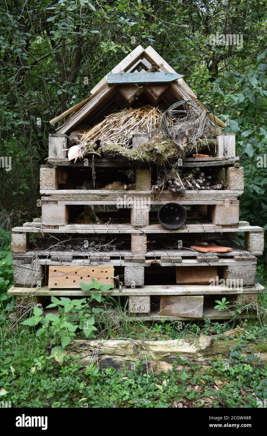 Insect Hotel in Bradwell Abbey, Milton Keynes. Stockfoto