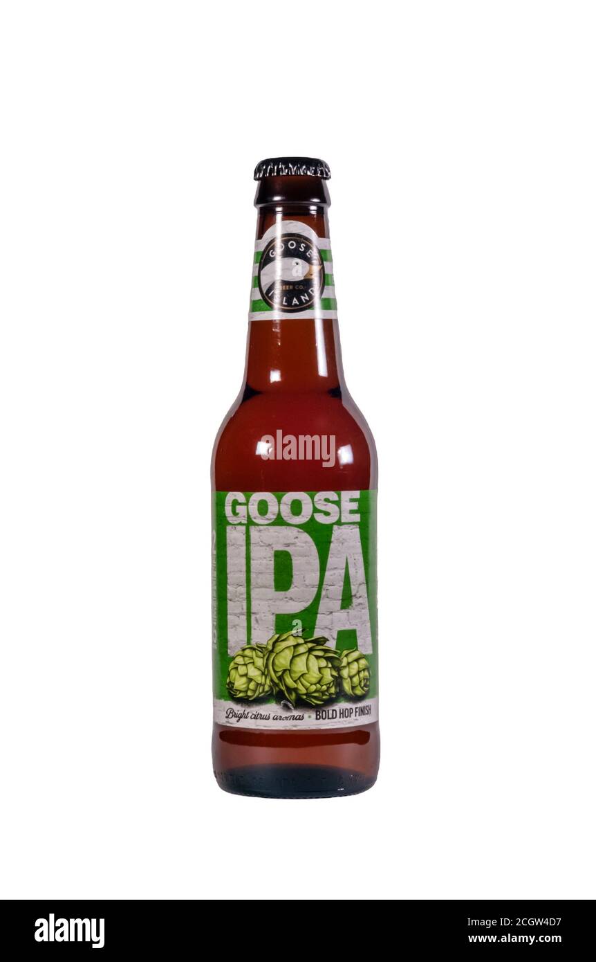 Eine Flasche Goose IPA von der Goose Island Beer Company in Chicago. Es hat eine Stärke von 5,9 % ABV. Stockfoto