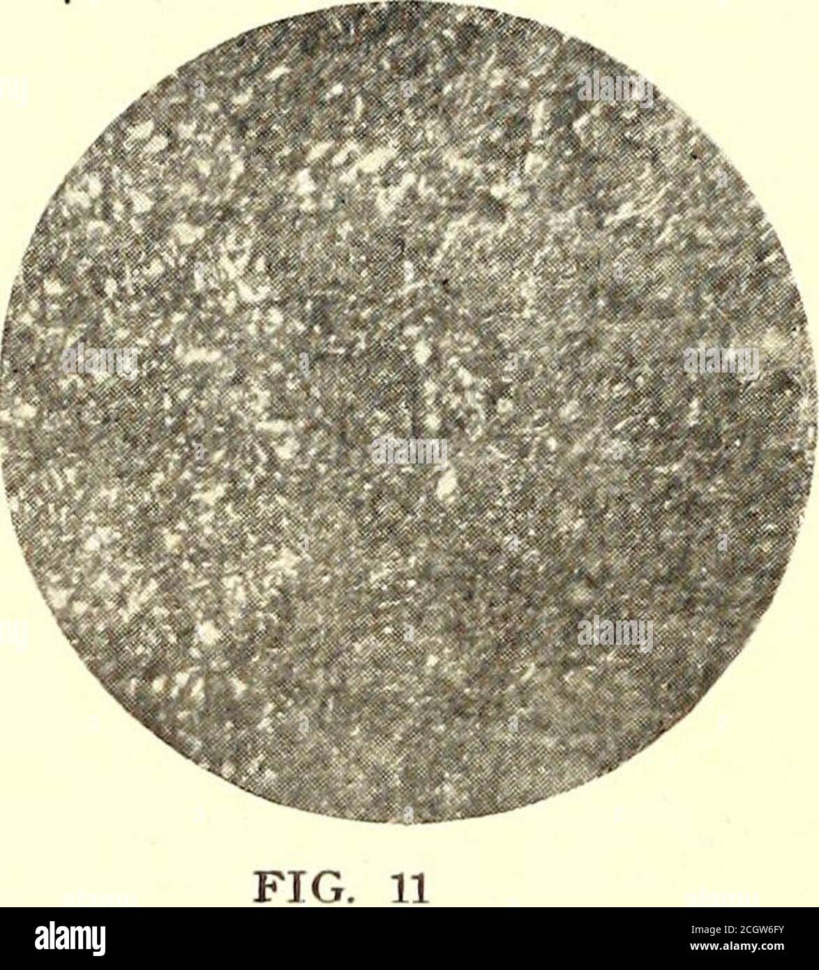 . Die Straßenbahnzeitung . die Enance der Gleise, die dem schweren Verkehr unterworfen ist. Die hier ausgestellten Schienen waren 79-lb. Schwer. Wir haben oben auf die Notwendigkeit hingewiesen, Porosität und Unsolide von Stahl zu vermeiden, wenn ein guter Dienst erreicht werden soll.Kurioserweise ist eine häufige Eigenschaft von Nickelstahl mit dieser Bedingung verbunden. Es ist eine Frage der allgemeinen Beobachtung, dass Nickel-Stahl-Schienen haben nicht den Dienst STREET RAILWAY JOURNAL gegeben. Ioi4 STREET RAILWAY JOURNAL. [Vol. XXVIII. Nr. 21. Was vorweggenommen und erhofft wurde, aber dass es eine Tendenz zu Splittern und ein Leben zu haben Stockfoto