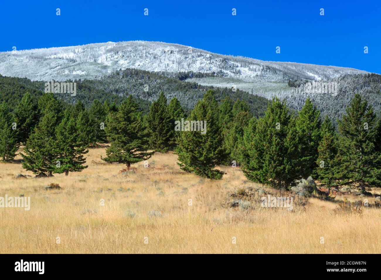 elkhorn Berge mit einem Spätsommerschnee in der Nähe von winston, montana staubt Stockfoto