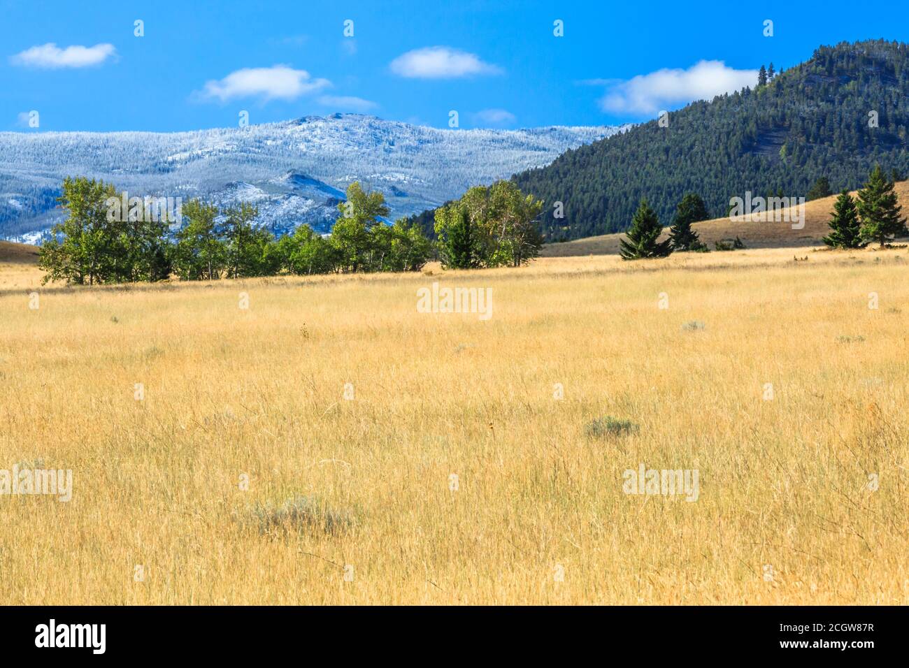 elkhorn Berge mit einem Spätsommerschnee in der Nähe von winston, montana staubt Stockfoto