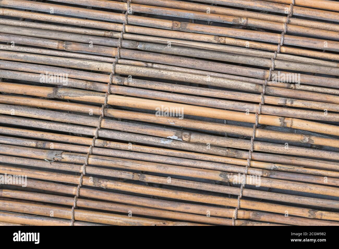 Flach liegender Abschnitt der natürlichen Schilfgartenabschirmung, die Spuren des frühen Schilfverfalls zeigt. Schöne natürliche Textur Hintergrund oder Metapher für die Gartenarbeit. Stockfoto