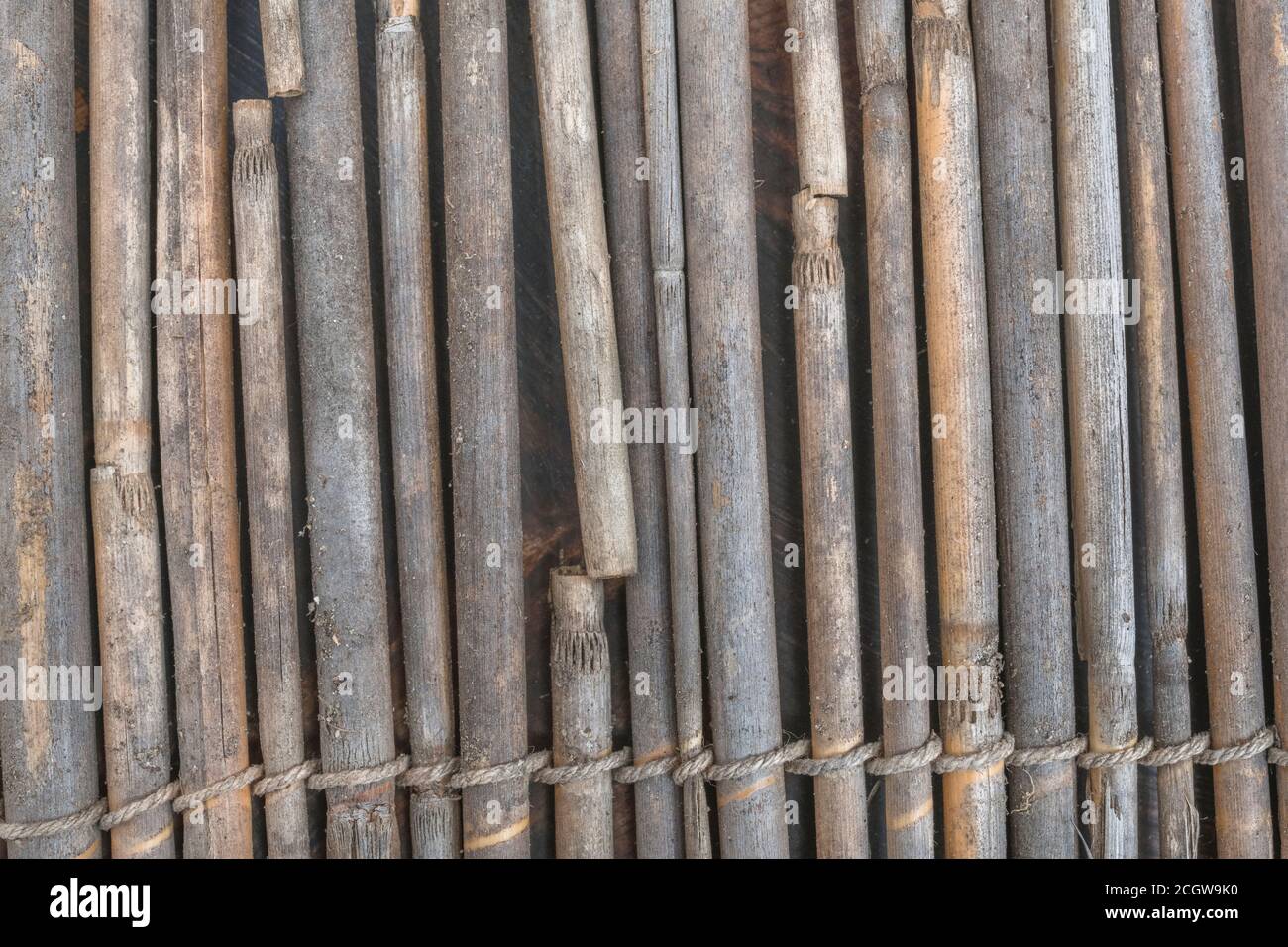 Nahaufnahme des flachen Abschnitts der natürlichen Schilfgartenabschirmung, die Spuren des Schilfverfalls zeigt. Schöne natürliche Textur Hintergrund oder Metapher für die Gartenarbeit. Stockfoto