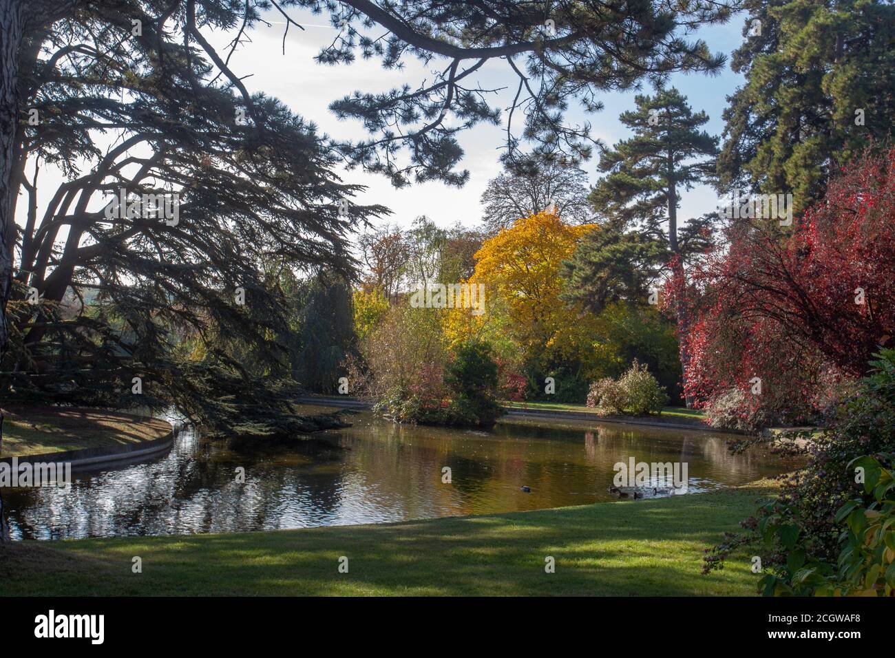 Teich und erstaunliche Bäume im Herbst im Park Saint-Cloud in Paris, Frankreich. Ehrfurchtgebietend sonniger Tag! Stockfoto