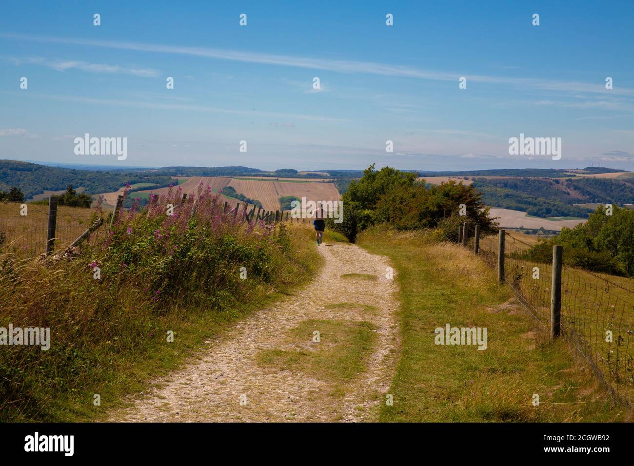 Fit und glücklich bleiben, auf den Downland-Strecken laufen Sommer 2020 West Sussex, Stockfoto
