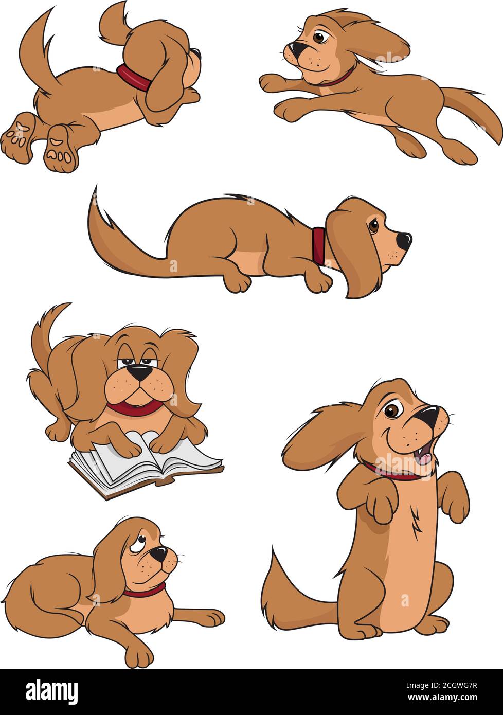 Cartoon Vektor-Illustration einer flauschigen Hundekollektion Stock Vektor