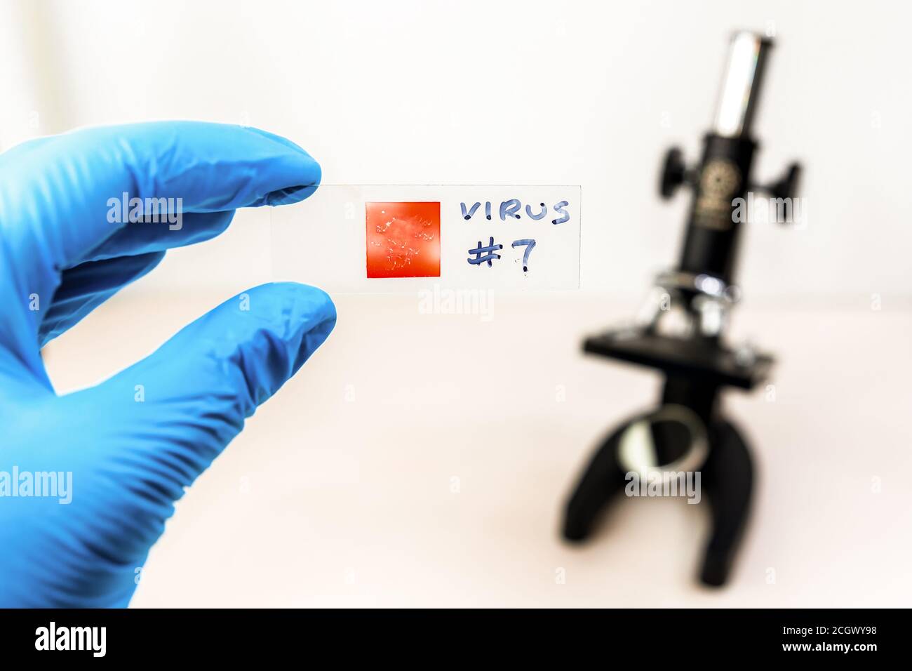 Eine Hand trägt einen blauen Handschuh hält ein Mikroskop-Dia mit VIRUS #7 in Marker darauf geschrieben. Deckglas ist rot. Mikroskop im Hintergrund. Stockfoto