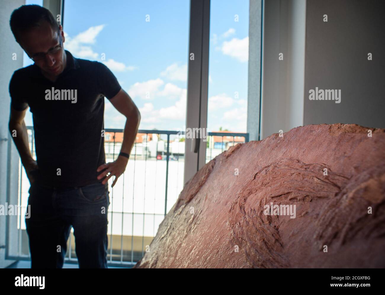 Mammendorf, Deutschland. August 2020. Michael Buchwitz, Kurator für Geowissenschaften am Museum für Naturkunde Magdeburg, steht in einem der Museumsstorerooms neben einer Platte mit versteinerten Kratzspuren eines hundezahnten Dinosauriers, der vor etwa 260 Millionen Jahren im lehmigen Boden nach Nahrung suchte. Seit 2016 suchen Wissenschaftler regelmäßig nach Dinosaurierspuren in den Slagheaps des Steinbruchs. (To dpa 'Forscher finden immer mehr Dinosaurierspuren im Mammendorfer Steinbruch') Quelle: Klaus-Dietmar Gabbert/dpa-Zentralbild/dpa/Alamy Live News Stockfoto