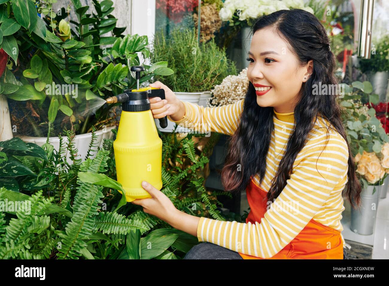 Florist sprühen Pflanzen und Blumen Stockfoto