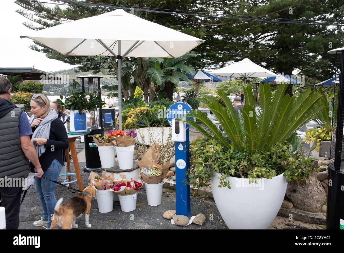 Das Bootshaus Restaurant in Palm Beach mit Händedesinfektionsmittel 19 Vorsichtsmaßnahmen am Eingang des Cafés, Sydsney, Australien Stockfoto