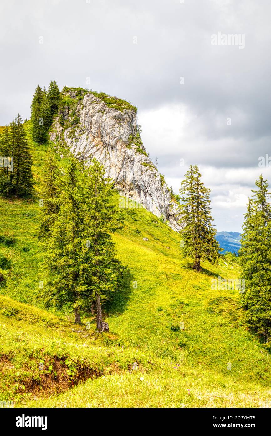 Ein paar Sommerwandereindrücke aus der berühmten Region hoch-Ybrig in den Schweizer Alpen, HDR Stockfoto