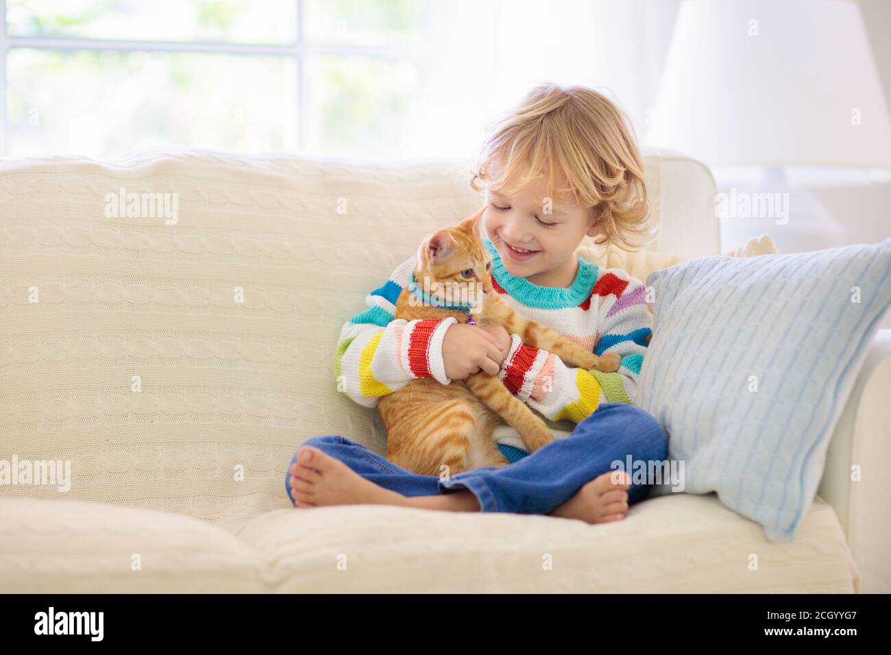 Kind, das mit der Katze spielt. Kind hält Kätzchen. Kleiner Junge schleudern niedliches Haustier auf der Couch im sonnigen Wohnzimmer zu Hause. Kinder spielen mit Haustieren. C Stockfoto