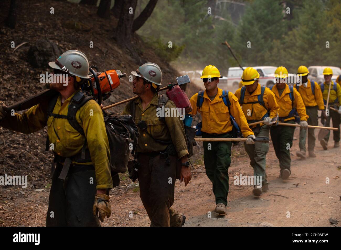 Säger mit der Billings IA, einer Bureau of Land Management Initial Attack Crew mit Sitz in Billings, Montana, führen Soldaten mit dem 14. Brigade-Ingenieur-Bataillon an, während sie eine Straße für Burnout-Operationen beim Waldbrand im August-Komplex am 6. September 2020 im Mendocino National Forest vorbereiten. Burnout beinhaltet die Beseitigung leicht brennbarer Wildbrandbrennstoffe wie Bäume und Laub, um die Ausbreitung des Wildlandbrands zu verhindern. Soldaten mit dem 14. BEB werden auf Antrag des National Interagency Fire Center nach Nordkalifornien zur Unterstützung des Department of Defense Wildland Firemi eingesetzt Stockfoto