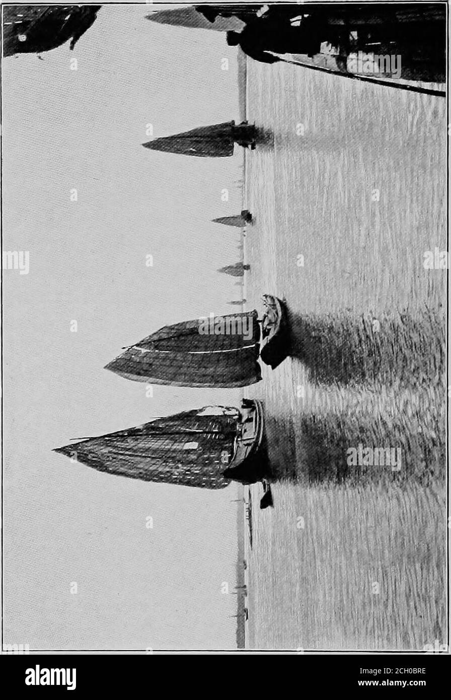 . Ein amerikanischer Ingenieur in China. Werden trotz des gesamten Versagens eingesetzt, um ihre Navigation zu verbessern oder natürliche Knorren und Hindernisse zu entfernen. Als die Hauptlinien der Reise, auf ihnen befinden sich die großen Städte, denn mit einer knappen Ausnahme jede Stadt von Impor-tance im Reich ist auf einer Art von schiffbaren Wasserstraßen, Und egal, wohin der Radler ins Innere geht, er wird mitkommen. Be c - CDM » I 1 U h Kapitel VIII: Binnenkommunikation 225 die Flussfront der Städte, die er besucht, ein veritabler Wald von Masten und ein solides Rumpf von Rümpfen. Es wurde viel gesagt und w Stockfoto