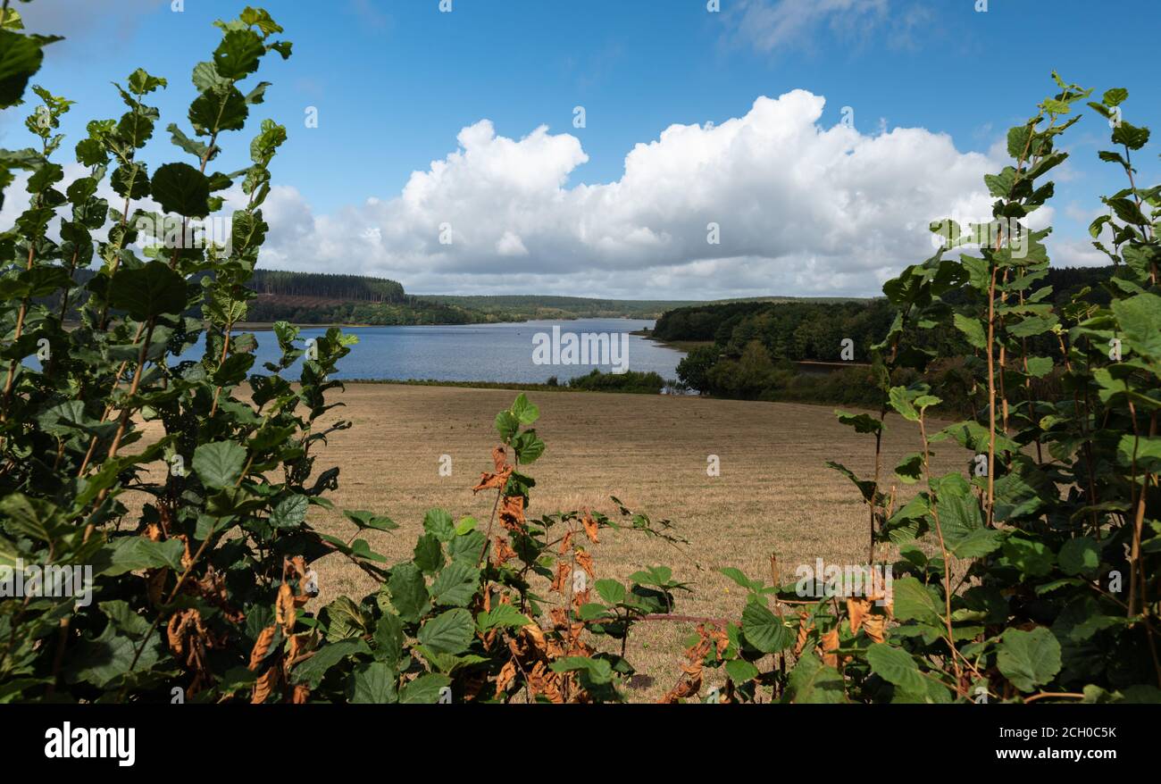 Parc Naturel Du Morvan Stockfotos Und Bilder Kaufen Alamy