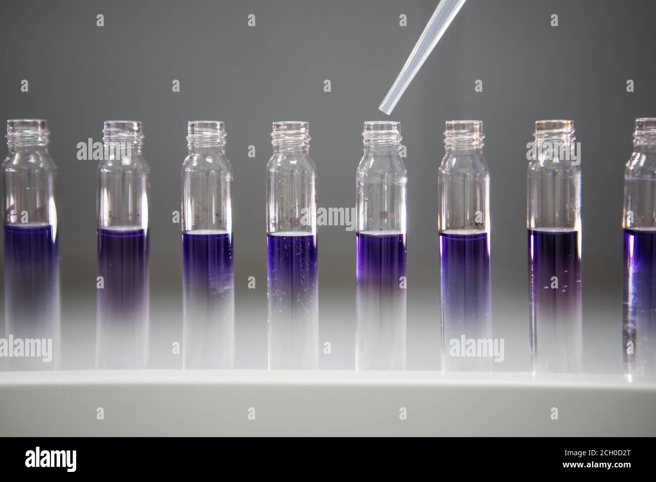 Hintergrund der analytischen Chemie. Kleine Fläschchen mit violetter Chemikalie in einem pharmazeutischen Labor. Impfstofftests Stockfoto