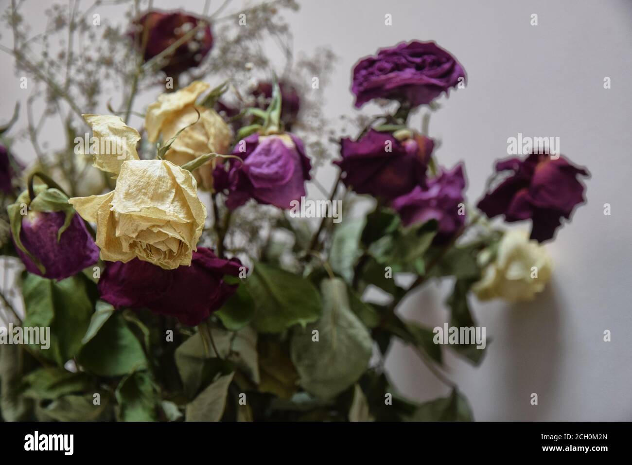 Getrocknete Rose Bouquet Stockfoto