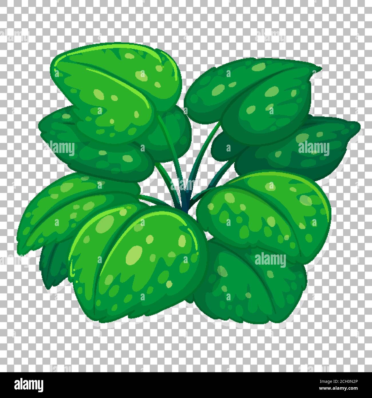 Klumpen von grünen Blättern auf transparentem Hintergrund Illustration Stock Vektor
