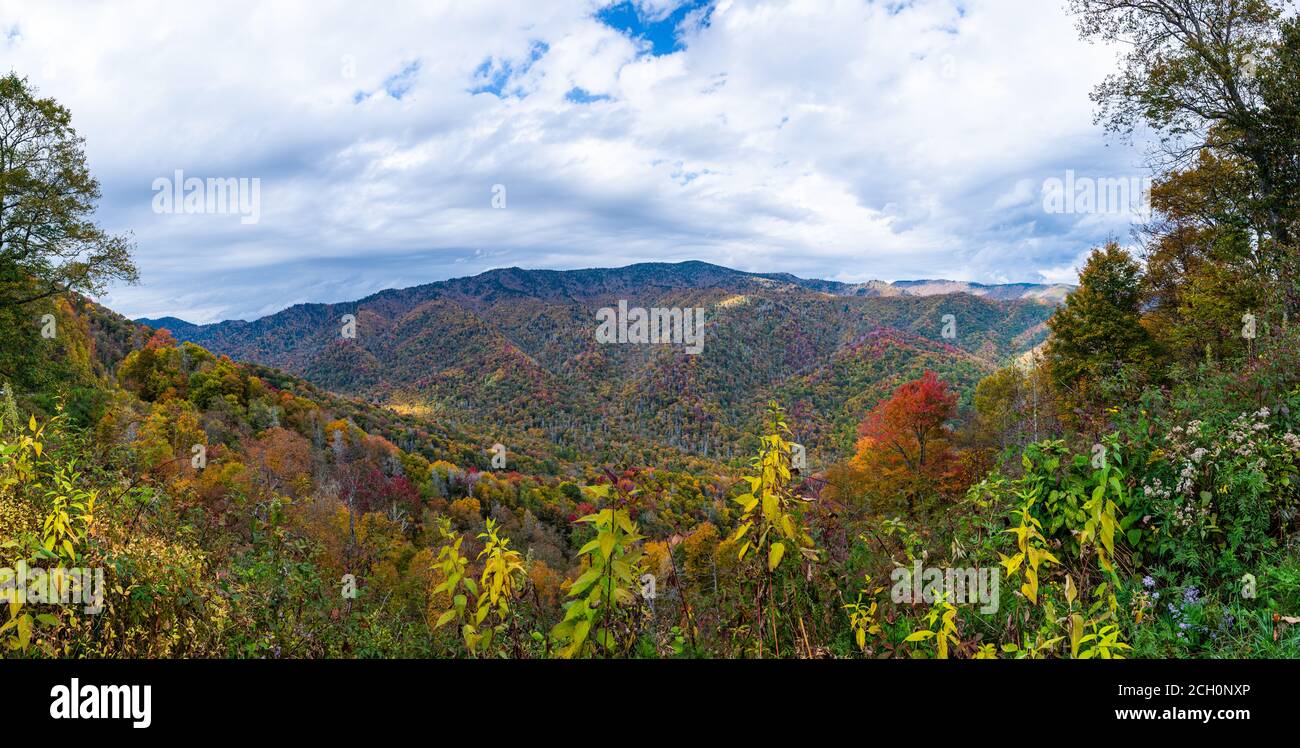 Great Smoky Mountains National Park, Tennessee, USA mit Blick auf die neu entdeckten Pass im Herbst. Stockfoto
