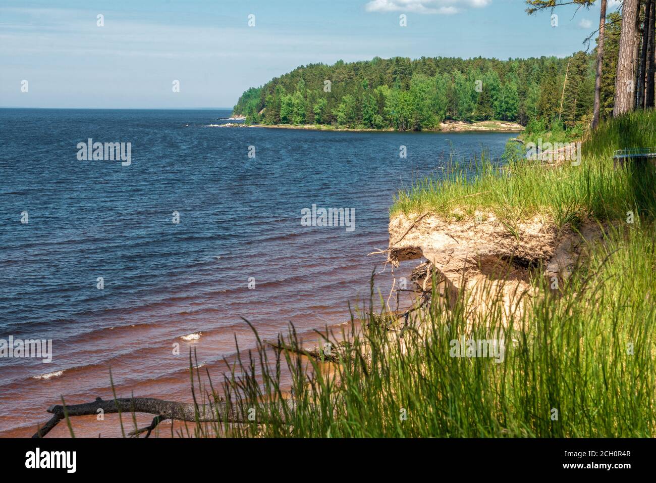 Großer See schöne Landschaft sonnigen Sommertag, grünes Gras, Mittag Stockfoto