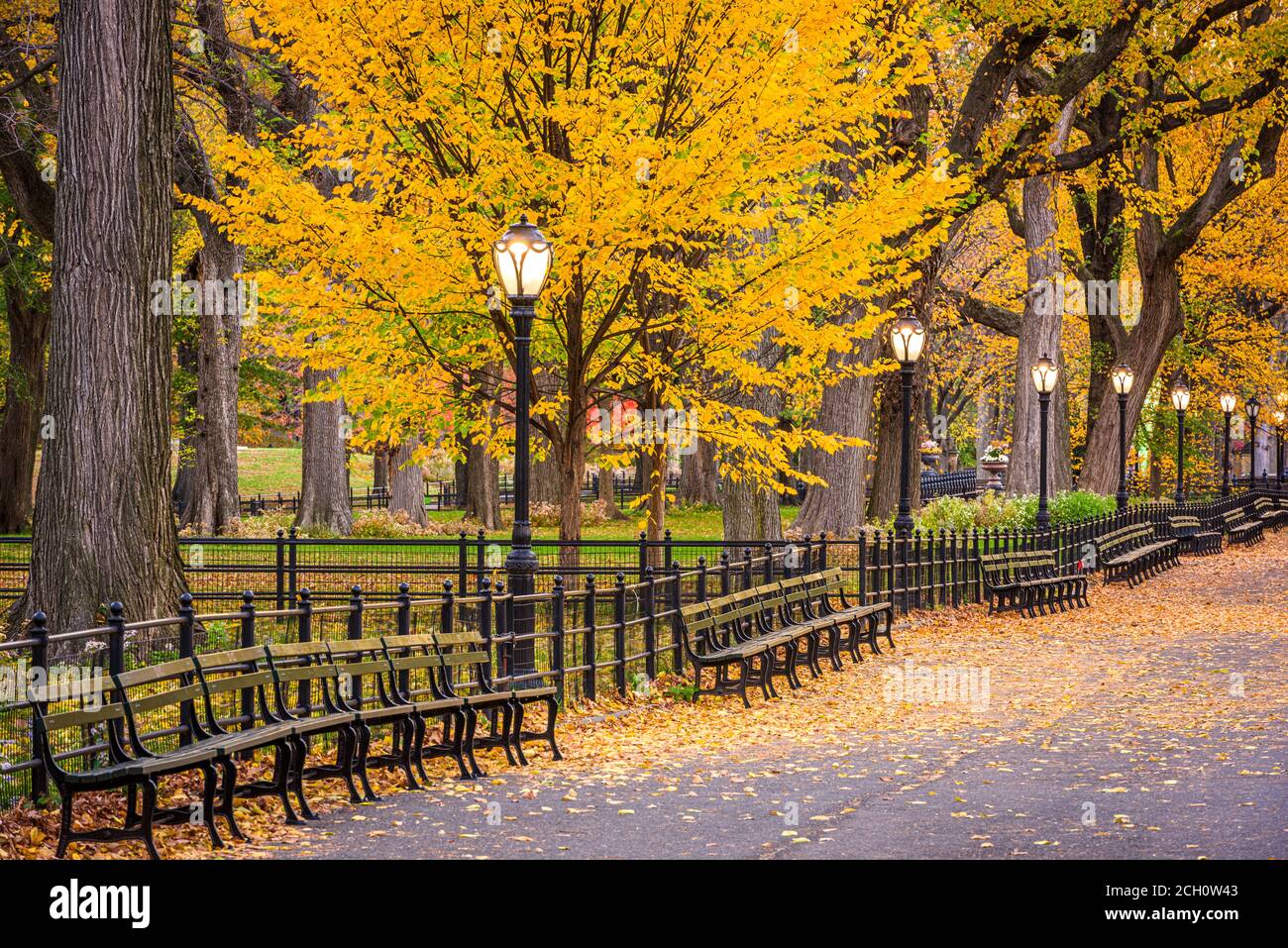 Central Park in der Mall in New York City im Herbst während der Dämmerung. Stockfoto