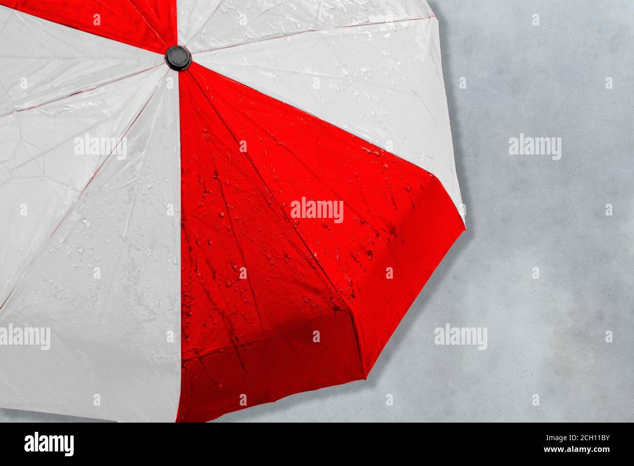 Der Regenschirm in den Farben der neuen Nationalflagge Weißrussland.  Konzept Banner der Menschen Protestbewegung Stockfotografie - Alamy