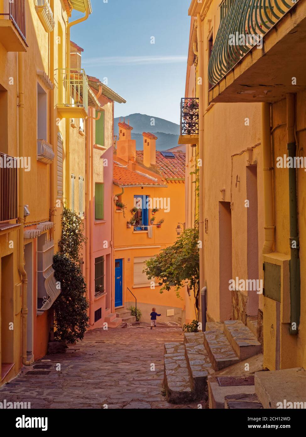 Golden Hour Ansicht von gepflasterten Straßen von Collioure, Côte Vermeille, Frankreich Stockfoto